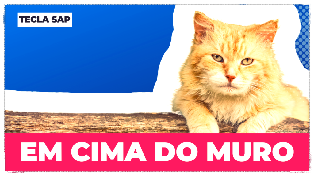 EM CIMA DO MURO