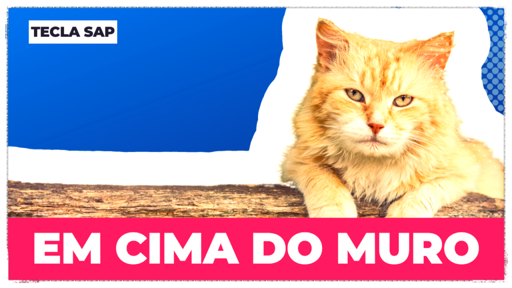 Quer aprimorar seu entendimento sobre o significado da palavra 'Cat' em  inglês?, Palavra do Dia