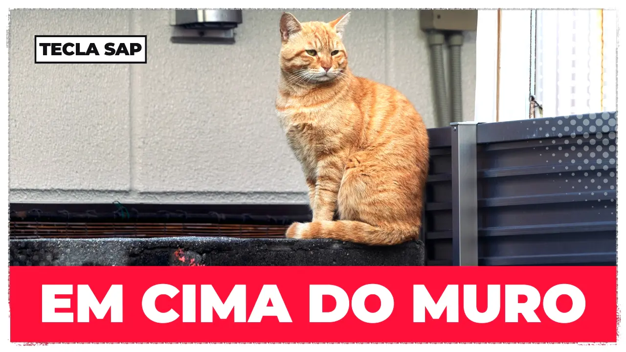 EM CIMA DO MURO