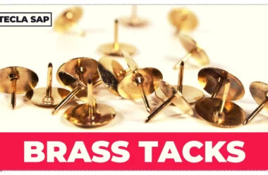 GET DOWN TO BRASS TACKS? O que significa a expressão?