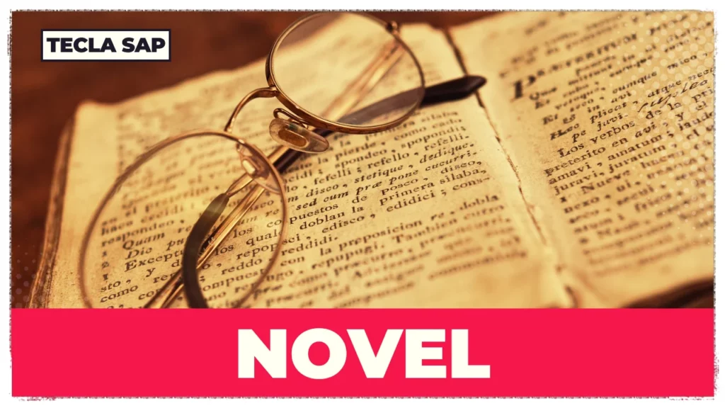 NOVEL