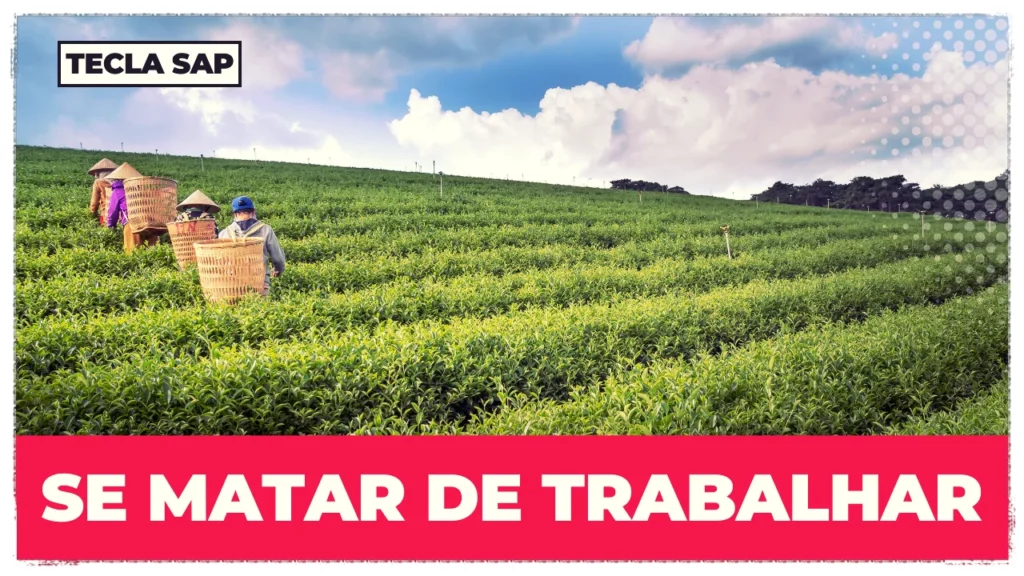 SE MATAR DE TRABALHAR