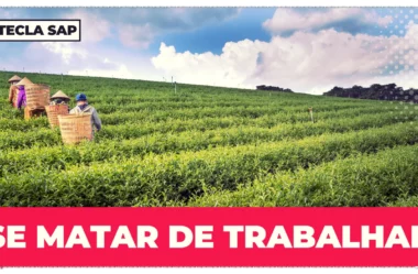 Expressões equivalentes a “se matar de trabalhar” em inglês