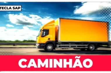 TRUCK x LORRY: o guia completo para você dizer caminhão em inglês