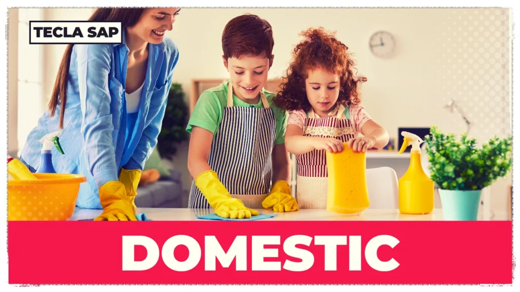DOMESTIC