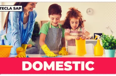 O que é DOMESTIC? Guia completo para nunca mais errar!