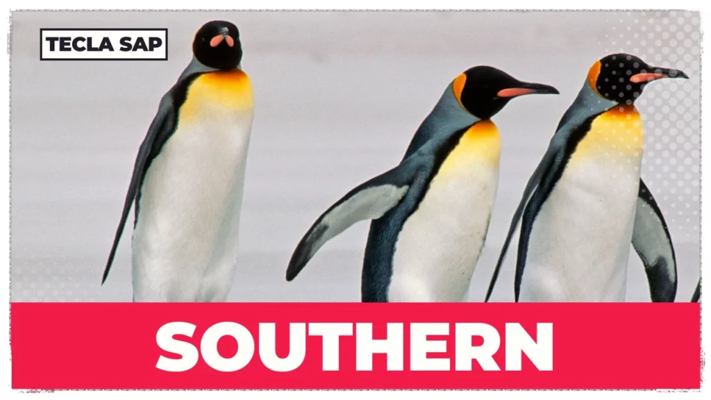 PRONUNCIA DE SOUTHERN