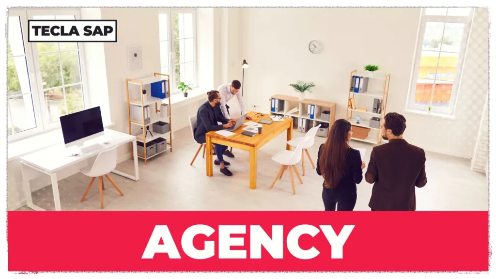 SIGNIFICADO DE AGENCY