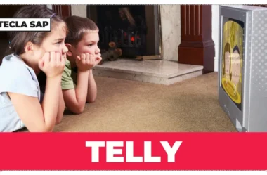 O que é TELLY? Guia completo para não errar mais