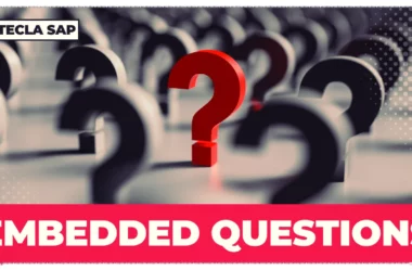 EMBEDDED QUESTIONS? O que são perguntas indiretas?