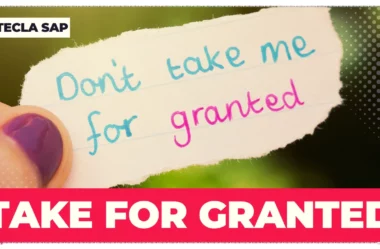 TAKE FOR GRANTED? Significado e 30 opções de tradução!
