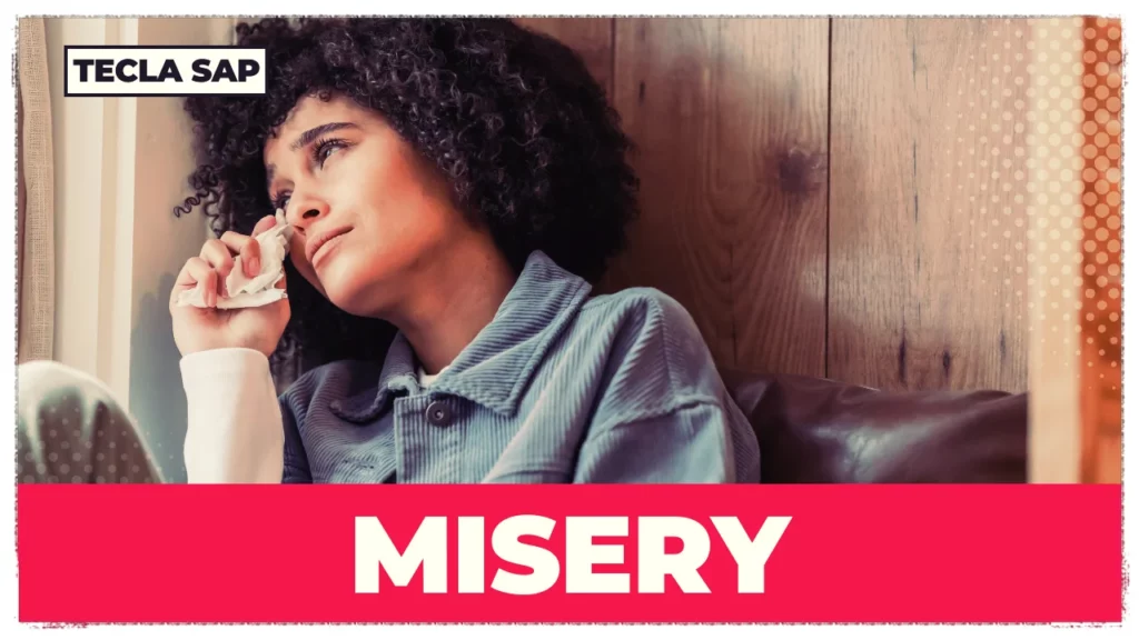 SIGNIFICADO DE MISERY