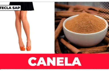 Como é canela em inglês? Aprenda agora para não pagar mico