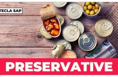 PRESERVATIVE? Como traduzir esse falso cognato?