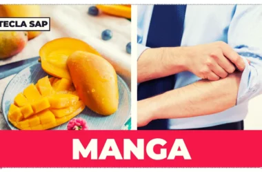 Manga? Como dizer a fruta e a parte da camisa em inglês?