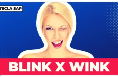 BLINK x WINK: qual é a diferença entre as duas?