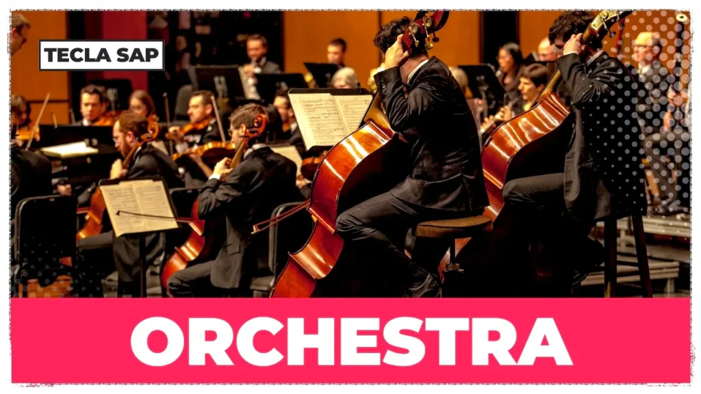 ORCHESTRA