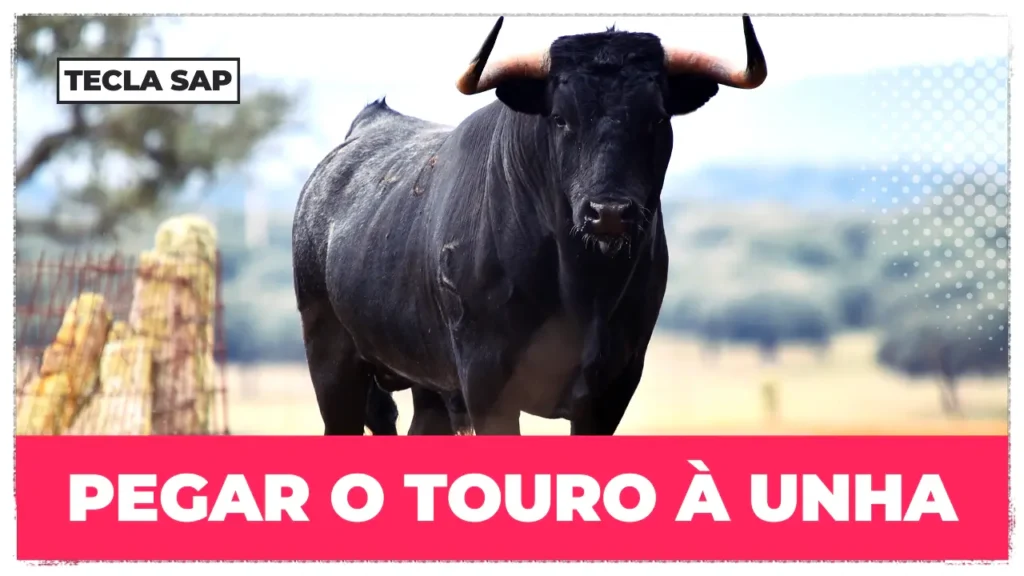 PEGAR O TOURO À UNHA