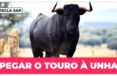 Como é “pegar o touro à unha” em inglês? Guia completo