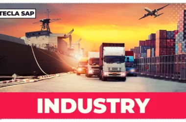 INDUSTRY? Qual é o significado e a tradução de “INDUSTRY”?