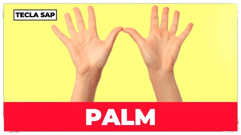 PALM