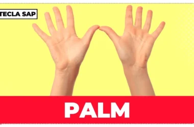 Pronúncia de PALM? Guia completo para não errar mais