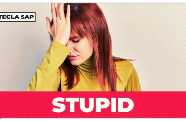 STUPID? Qual é o significado e a tradução de “STUPID”?