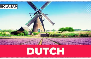 DUTCH? Qual é o significado e a tradução da palavra?