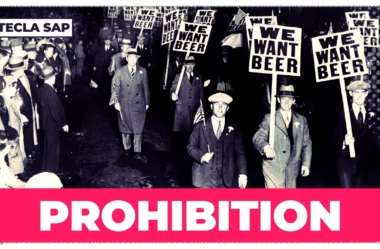 PROHIBITION? Qual é o significado e a tradução da palavra?