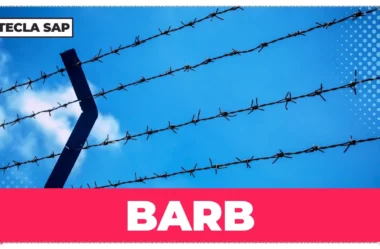BARB? Qual é o significado e a tradução desse falso cognato?