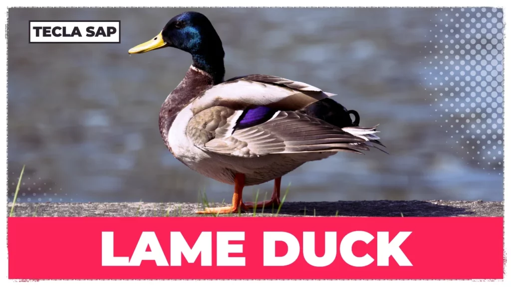 LAME DUCK