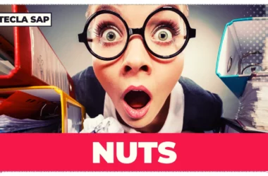 O que significa NUTS em inglês? Descubra agora