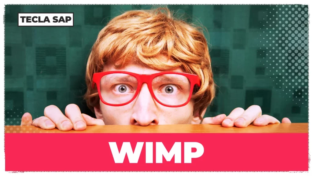 SIGNIFICADO DE WIMP