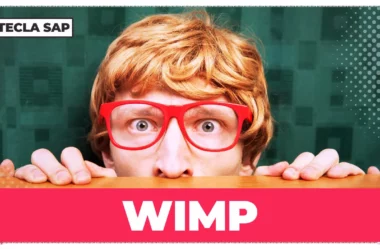Qual é o significado de WIMP? Descubra agora