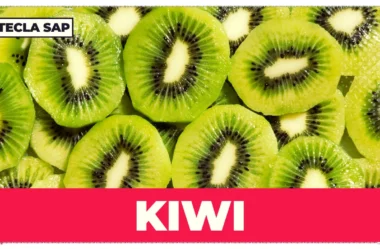 KIWI? Qual é o significado e a tradução dessa gíria?