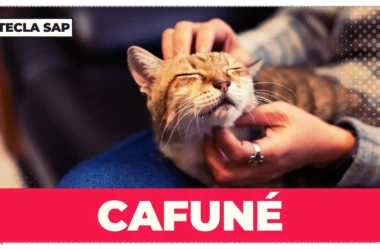 Cafuné? Existe equivalente a “cafuné” em inglês?