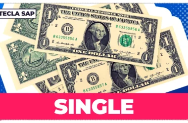 SINGLE? Quais são os significados de “SINGLE”?