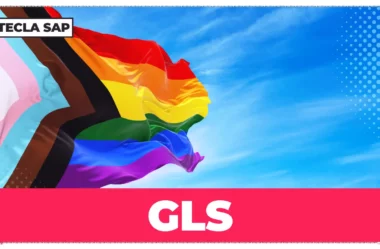 GLS? Como dizer a sigla “GLS” em inglês?