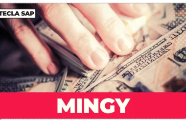 MINGY? Qual é o significado e a tradução da gíria?