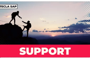 SUPPORT? Qual é o significado e a tradução da palavra?