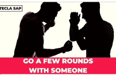 GO A FEW ROUNDS WITH SOMEONE? Qual é o significado?