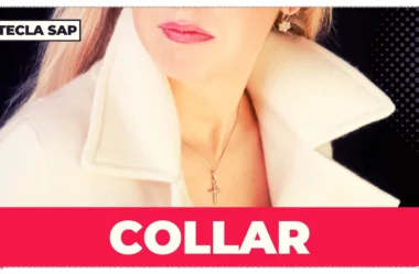 COLLAR? Qual é o significado e a tradução de “COLLAR”?