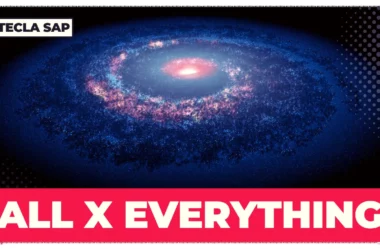 ALL x EVERYTHING: qual é a diferença entre as duas?
