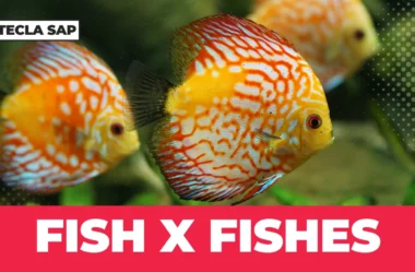 FISH x FISHES? Como escrever o plural de “FISH”?
