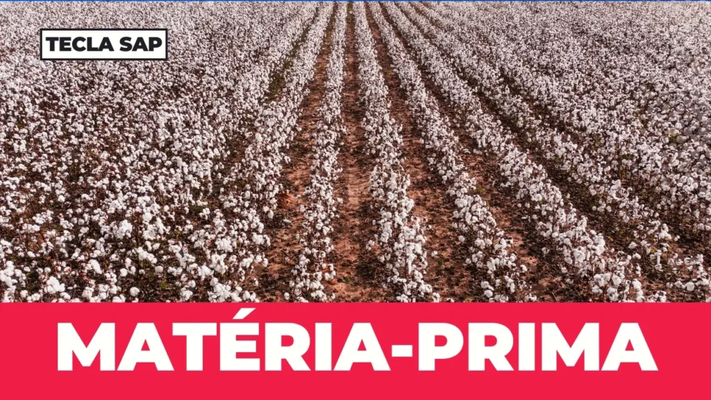 MATÉRIA-PRIMA