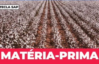 Como se diz “matéria-prima” em inglês? Descubra agora