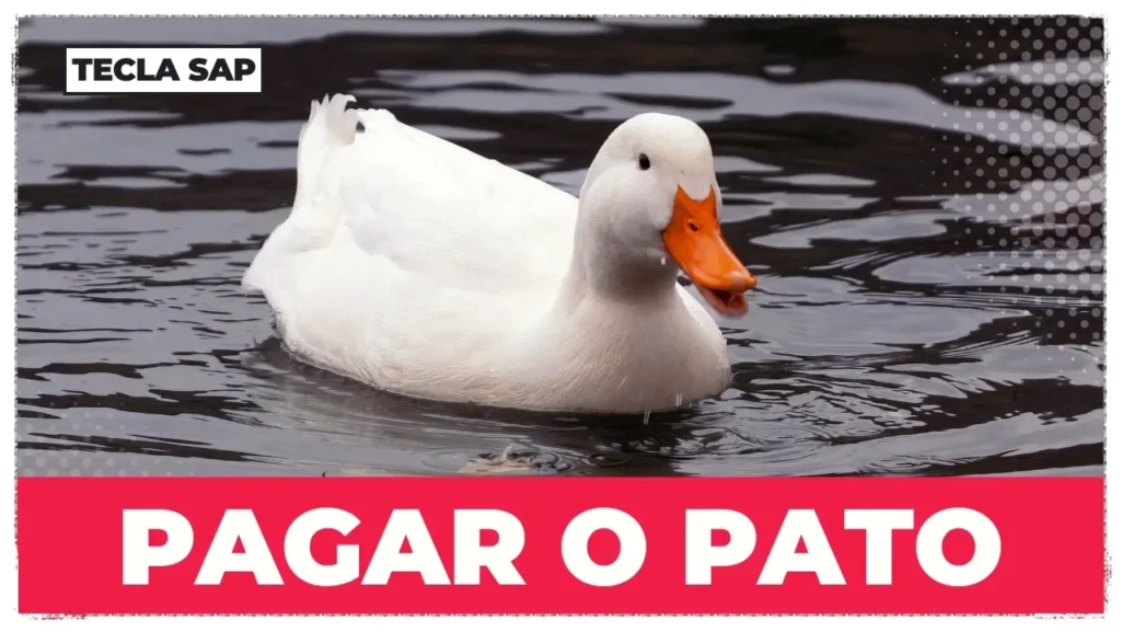 PAGAR O PATO