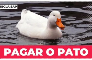 Como é pagar o pato em inglês? Aprenda agora para não errar mais