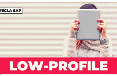 LOW-PROFILE? Qual é o significado e a tradução?