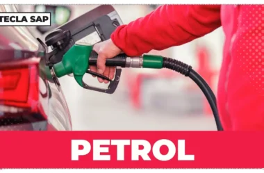 O que é PETROL? Guia completo para não errar mais